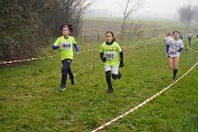 DSC00471 DSC00471